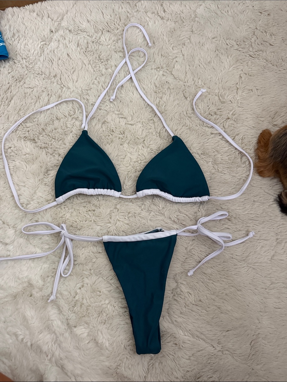 Classic Teal Triangle Bikini with White Trim - Women Swim